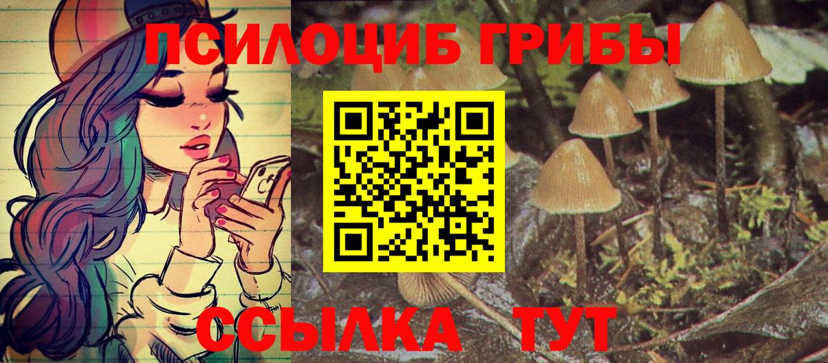 Галлюциногенные грибы ЛСД  Вход с VPN  Новороссийск  Галлюциногенные грибы мицелий 