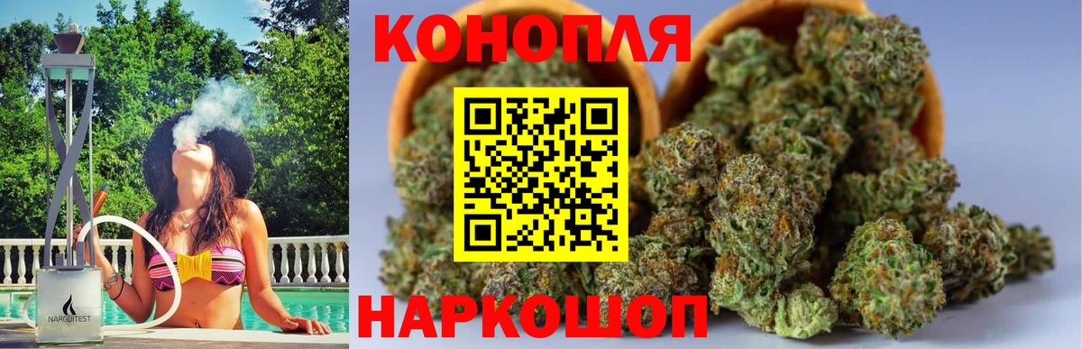 МАРИХУАНА план Новороссийск